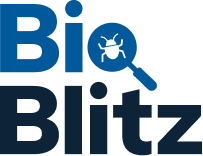 BioBlitz